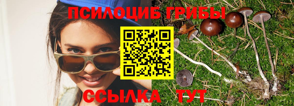 Псилоцибиновые грибы мухоморы Тамбов