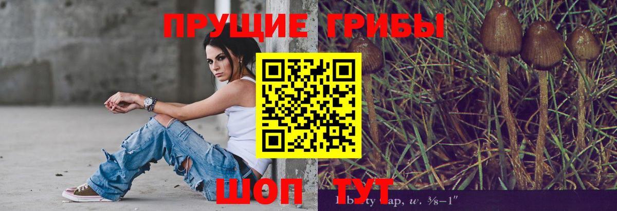 Альфа ПВП Тамбов